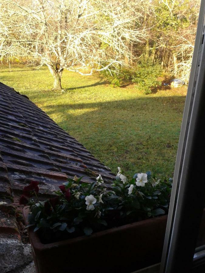 Mistoury Bed & Breakfast La Tour-Blanche Luaran gambar